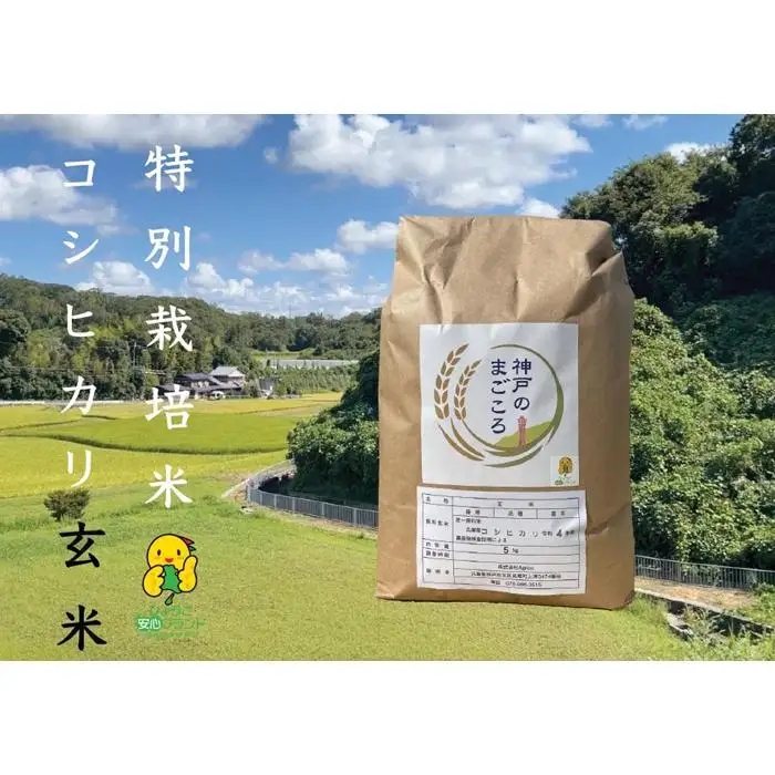 令和7年産　新米　特別栽培米 神戸のまごころ コシヒカリ 玄米　5kg