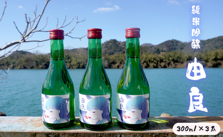 純米吟醸 由良 300ml×3本 ： 日本酒 辛口 地酒
