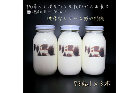 【北海道産搾りたて生乳100%使用】よーぐると工房Bawのプレミアムヨーグルト 加糖 730ml×3本 無添加 デザート スイーツ ミルク 牛乳 産地直送 せたな町 ふるさと納税