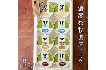 【北海道産搾りたて生乳使用】ひらかわ牧場のアイスクリーム 大人気の4種8個セット フレッシュミルク バニラ チョコ キャラメルクランチ デザート スイーツ お取り寄せ ギフト せたな町 ふるさと納税