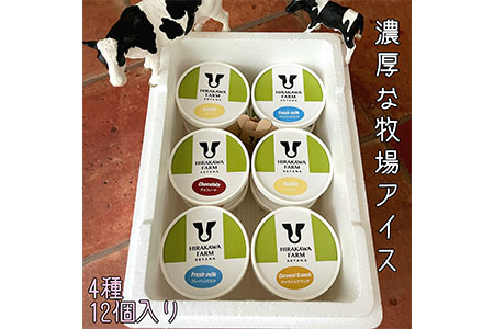 【北海道産搾りたて生乳使用】ひらかわ牧場のアイスクリーム 大人気の4種12個セット フレッシュミルク バニラ チョコ キャラメルクランチ デザート スイーツ お取り寄せ ギフト せたな町 ふるさと納税