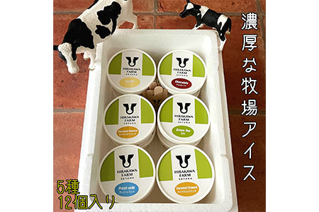 【北海道産搾りたて生乳使用】ひらかわ牧場のアイスクリーム 定番の5種12個セット フレッシュミルク バニラ チョコ キャラメルクランチ 抹茶 デザート スイーツ お取り寄せ ギフト せたな町 ふるさと納税