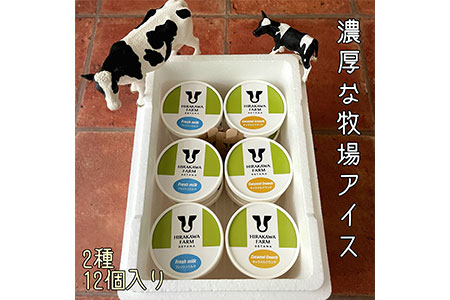 【北海道産搾りたて生乳使用】ひらかわ牧場のアイスクリーム おすすめ2種12個セット フレッシュミルク キャラメルクランチ デザート スイーツ お取り寄せ ギフト せたな町 ふるさと納税　