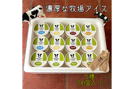 【北海道産搾りたて生乳使用】ひらかわ牧場のアイスクリーム 定番の5種24個セット フレッシュミルク バニラ チョコ キャラメルクランチ 抹茶 デザート スイーツ お取り寄せ ギフト せたな町 ふるさと納税