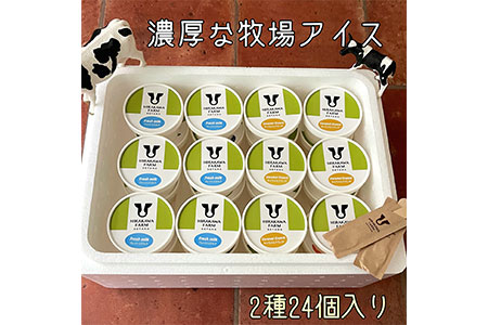 【北海道産搾りたて生乳使用】ひらかわ牧場のアイスクリーム おすすめ2種24個セット フレッシュミルク キャラメルクランチ デザート スイーツ お取り寄せ ギフト せたな町 ふるさと納税