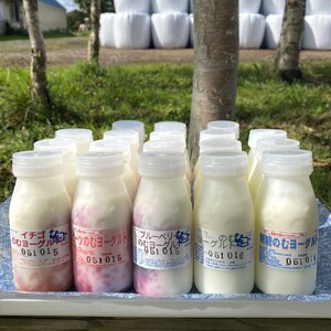 【大津牧場の搾りたてミルク使用】北海道産 のむヨーグルト 30本セット プレーン加糖 プレーン無糖 イチゴ ブルーベリー ビーツ ダイエット 産地直送 牛乳 ヨーグルト せたな町 ふるさと納税