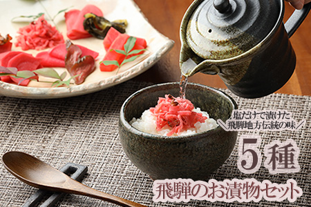 飛騨のお漬物 5種類セット【15-2】