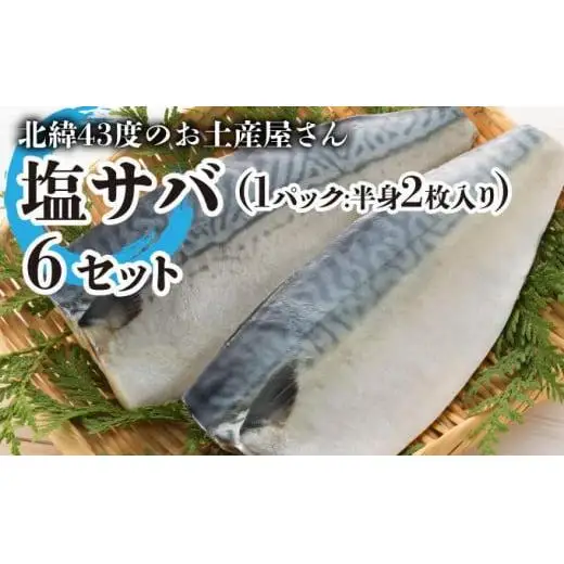 塩サバ×6セット  F21H-446