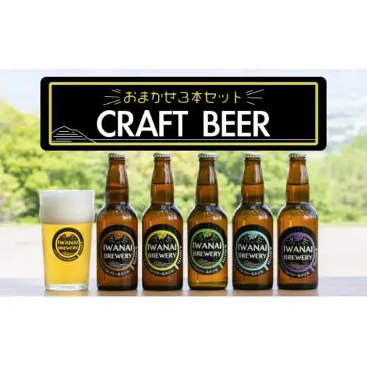 クラフトビール 飲み比べ3本セット F21H-473