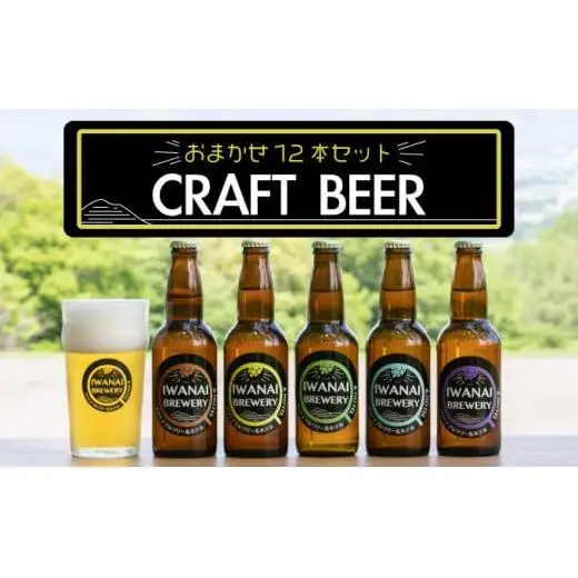 クラフトビール 飲み比べ12本セット F21H-503