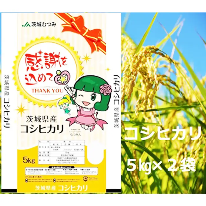 【令和7年産】茨城県産コシヒカリ10kg（5kg×2袋）精米 JA茨城むつみ ／ こしひかり 令和7年 新米 米 お米 おこめ こめ コメ 精米 白米 ご飯 国産米 10kg 10キロ おいしい お取り寄せ 産地直送 産直 坂東市産 茨城県産 茨城産 茨城県 特産品 No.179