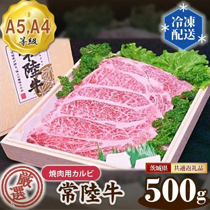 常陸牛 厳選！焼肉用カルビ500g（A5・A4等級）＜茨城県共通返礼品＞ No.100