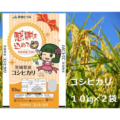 【令和7年産】茨城県産コシヒカリ20kg（10kg×2袋）精米 JA茨城むつみ ／ こしひかり 令和7年 新米 米 お米 おこめ こめ コメ 精米 白米 ご飯 国産米 20kg 20キロ おいしい お取り寄せ 産地直送 産直 坂東市産 茨城県産 茨城産 茨城県 特産品 No.180