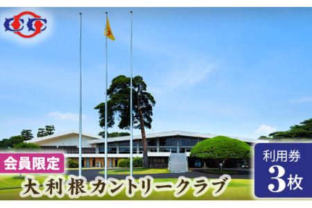 【会員限定】大利根カントリークラブ利用券＊9000円（利用券3000円×3枚） ／ ゴルフ golf GOLF ごるふ ゴルフ場 チケット ちけっと 体験 プレー券 利用券 ゴルフ場利用券 記憶に残るラウンド 最高のコースコンディション 最良のサービス 茨城県 No.151