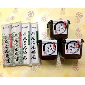亀城味噌3個とれんこんめん乾麺(うどん2袋・そば2袋)のセット※離島への配送不可