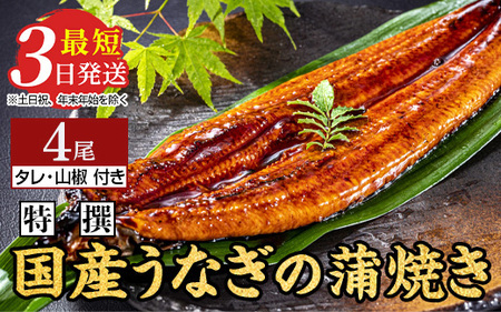 特撰 国産うなぎの蒲焼き4尾【最短3日発送】 ※離島への配送不可