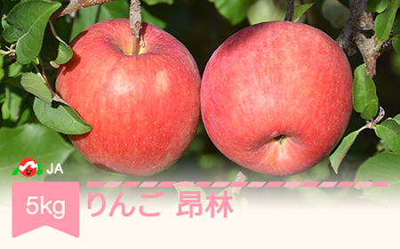 【先行予約】りんご 昂林 約5kg 秀 2026年産 ja-rikrx5