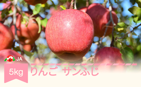 【先行予約】りんご サンふじ  約5kg 秀 2026年産 令和8年産 ※沖縄・離島への配送不可  ja-risfx5 