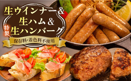 【お中元対象】特製 生ハンバーグ 生ハム 生ウインナー 3種 セット 糸島市 / 志摩スモークハウス[AOA028] 肉 加工品