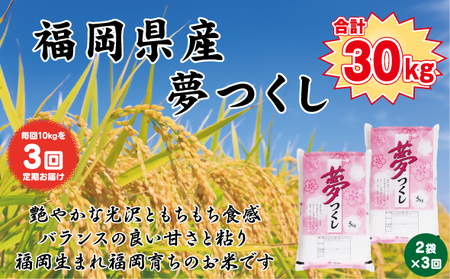 BZ-002_ 【令和7年産新米先行予約】【定期便3か月】食味鑑定士厳選　 福岡県産夢つくし10kg（5kg×2）3ヶ月連続で！　計30kg