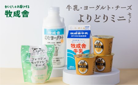 ＜牧成舎＞牛乳 ヨーグルト チーズ よりどりミニセット 4種 飛騨産生乳で作ったこだわりの乳製品セット 単身用 一人暮らし 2人暮らし ギフト まとめ買い[Q1912]