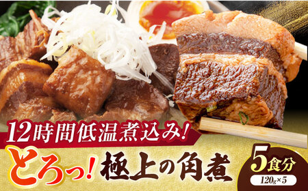 おかず 食感よし！旨みよし！【豚の角煮セット(5食)】 島根県松江市/根っこや株式会社[ALEE001] おかず おかず