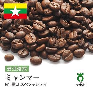 [豆]#150 受注焙煎！310g ミャンマー G1 星山 スペシャルティ 珈琲豆 コーヒー豆 自家焙煎