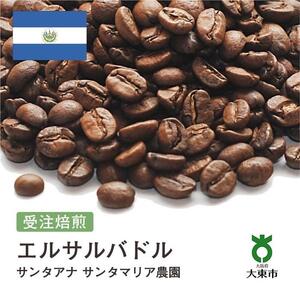 [豆]#156 受注焙煎！310g エルサルバドル サンタアナ サンタマリア農園 珈琲豆 コーヒー豆 自家焙煎