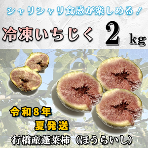 AO-010_【予約・令和８年夏発送】冷凍いちじく2kg