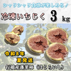 AO-011_【予約・令和８年夏発送】冷凍いちじく3kg