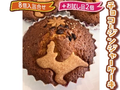 チョコとジンジャーケーキ8個入詰合せ＋お試し品2個 ※着日指定不可