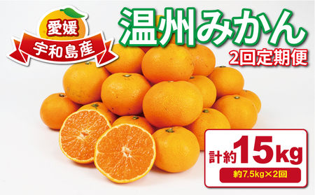 みかん定期便 温州みかん 2回 計15kg 7.5kg×2回 家庭用 平石農園 B018-017007