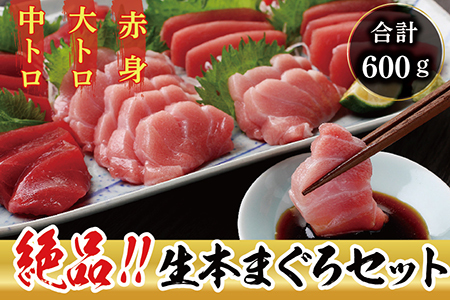 【冷蔵】絶品！生本マグロ セット 大トロ 200g + 中トロ 200g + 赤身 200g　（すべて柵どり）