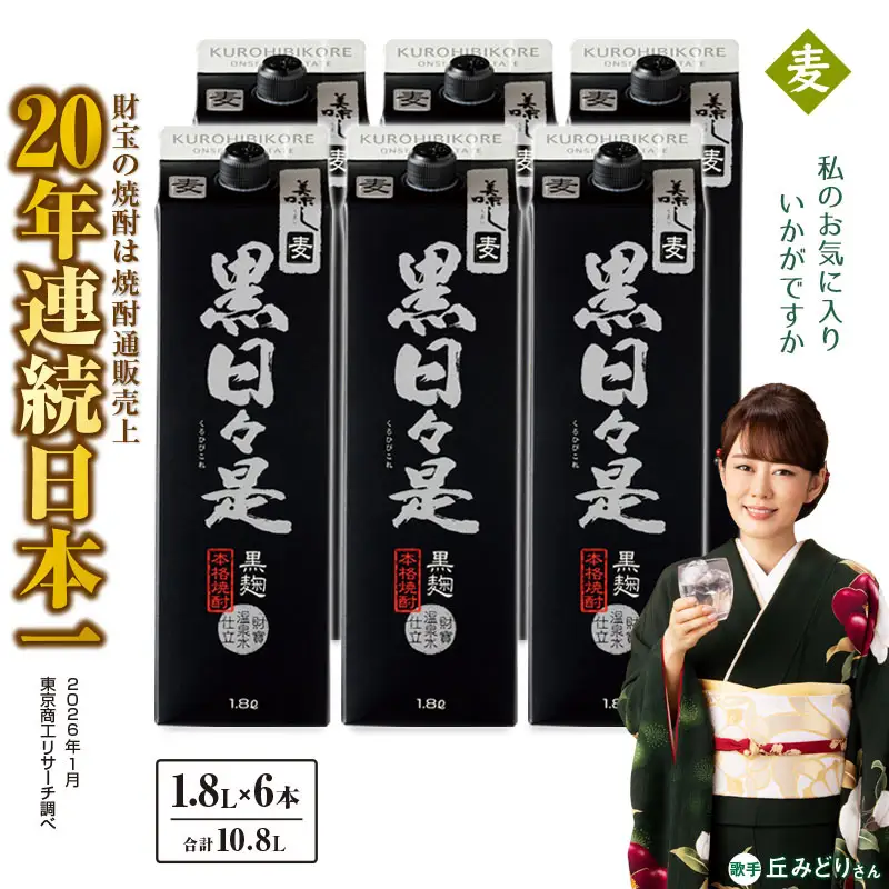 2026-1 麦焼酎 紙パック6本『黒日々是（麦）』温泉水仕立ての焼酎 KN021-009 酒 アルコール