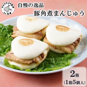 自慢の逸品、豚角煮まんじゅう2箱(1箱5個入り)( 角煮 角煮まんじゅう 豚角煮 角煮まん 個包装 中華 ギフト 贈り物 プレゼント 贈答 )【B5-076】