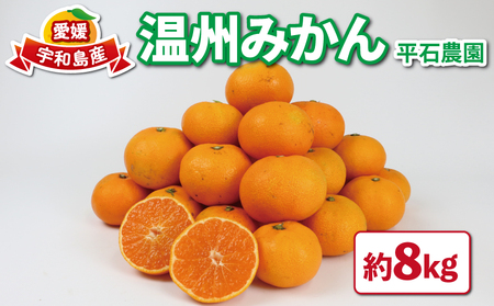 【みかん】温州みかん8kg家庭用平石農園国産宇和島|B010-017008