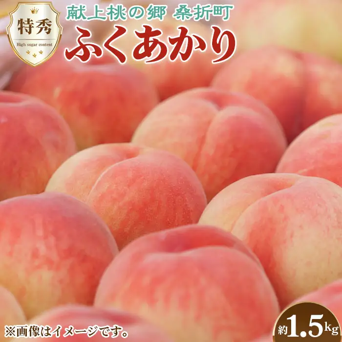もも【ふくあかり・2026年産】特秀1.5kg　桑折町産　JAふくしま未来　桃 ／ もも モモ 果物 フルーツ 旬 甘い 甘み ジューシー 果肉 果汁 新鮮 フレッシュ デザート おいしい 産地直送 桑折 こおり こおりまち 福島県 特産品 No.166