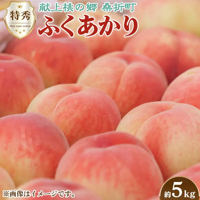 もも【ふくあかり・2026年産】特秀　5kg　桑折町産　JAふくしま未来　桃 ／ もも モモ 果物 フルーツ 旬 甘い 甘み ジューシー 果肉 果汁 新鮮 フレッシュ デザート おいしい 産地直送 桑折 こおり こおりまち 福島県 特産品 No.173