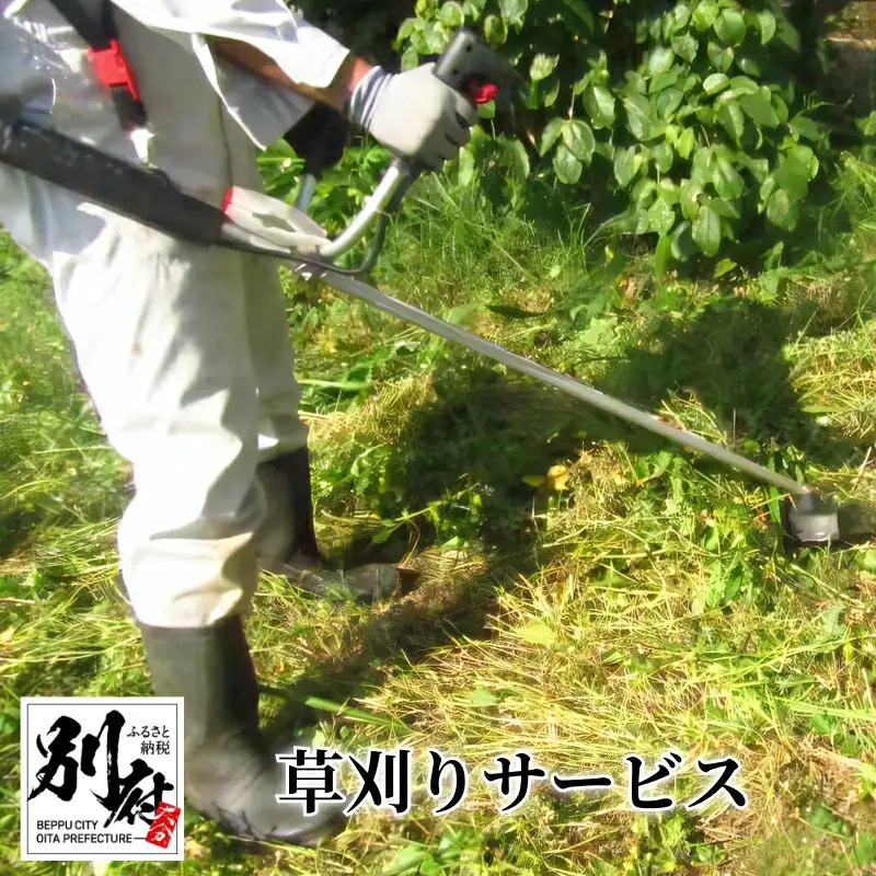 【別府市限定】草刈りサービス 20㎡まで_ B156-001【ふるさと納税 別府市内限定 草刈りサービス 20平方メートルまで 要事前連絡 草取り 除草 雑草抜き 草引き 草むしり 芝刈り 草刈り代行 代行サービス 草の処分 別府市】