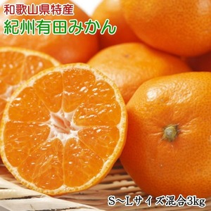 ZD7017_【2026年先行予約】【厳選】和歌山有田みかん 3kg(S～Lサイズ混合・秀品)