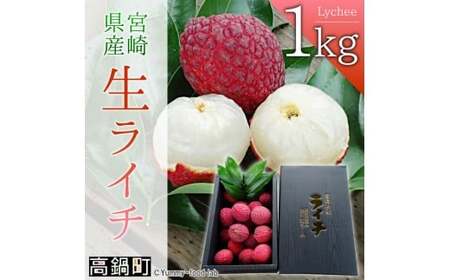 ＜宮崎県産ライチ1kg＞【c071_mk_x6】