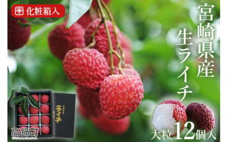 ＜宮崎県産ライチ大粒12個入り＞【c643_mk_x6】