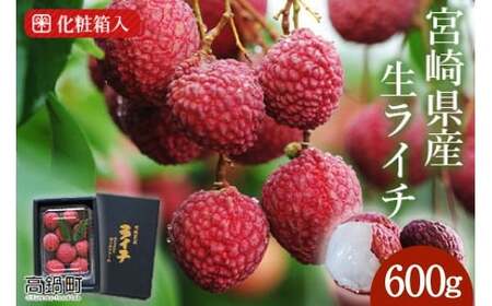 ＜宮崎県産ライチ600g＞【c644_mk_x6】