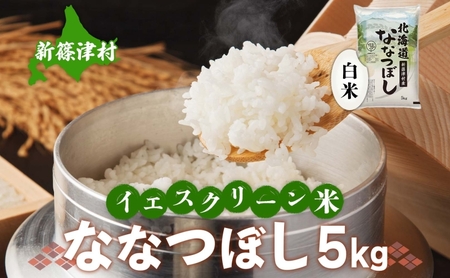 北海道 イエスクリーン米 令和7年産 ななつぼし 5kg 精米 米 白米 お米  ごはん ご飯 ライス 道産米 ブランド米 新しのつ米 ふっくら 食味ランキング  産地直送 カワサキ森田屋 送料無料 