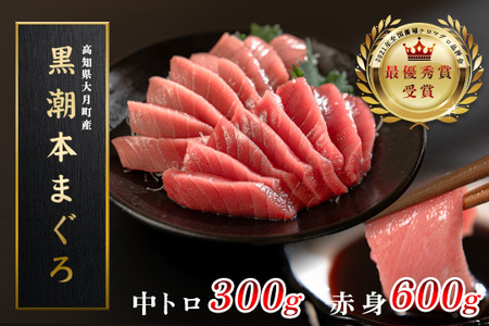 マグロ まぐろ 本マグロ 刺身 赤身 中トロ 2種 900g 養殖 本まぐろ さしみ 刺し身 ネギトロ ねぎとろ 漬け丼 海鮮丼 まぐろたたき 海鮮セット 柵 年末 年始 正月 高知県 大月町
