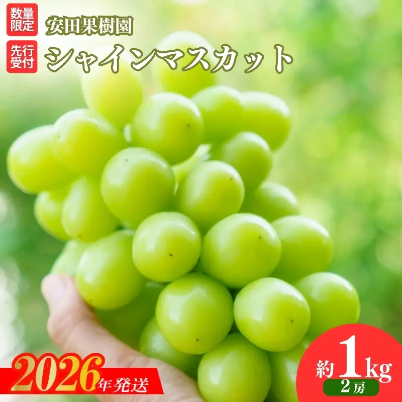 No.2609ぶどう　シャインマスカット 約1kg【2026年発送】