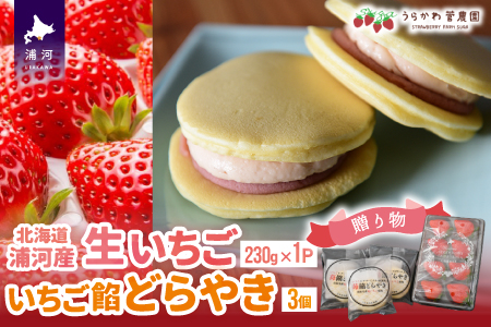 【母の日対応】北海道浦河産「生いちご」＆「どらやき」ギフトセット[13-1212]