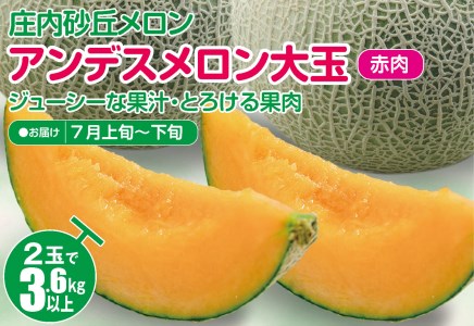SA2963　庄内砂丘メロン アンデスメロン(赤肉) 大玉2玉　計3.6kg以上　つる付き