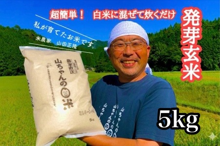 農家直送『山ちゃんの発芽玄米』5kg