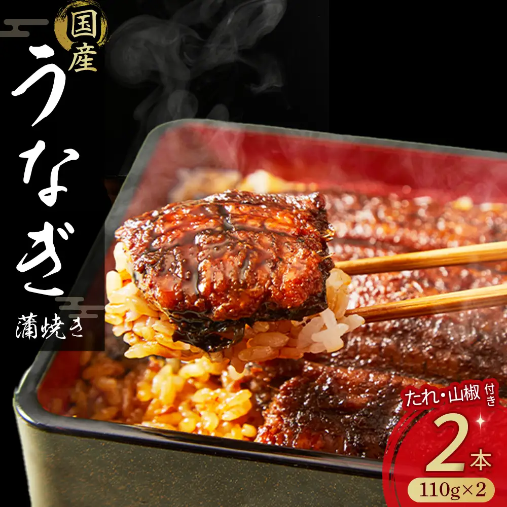 うなぎ 蒲焼き 220g (110g×2本) うなぎ 国産鰻 ／Esu-A92